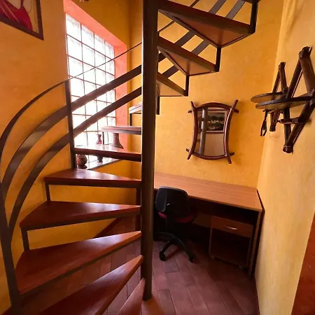 The Stylish House *
